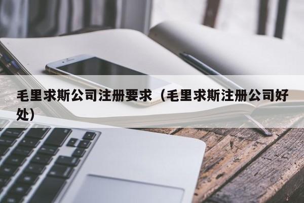 毛里求斯公司注册要求（毛里求斯注册公司好处）