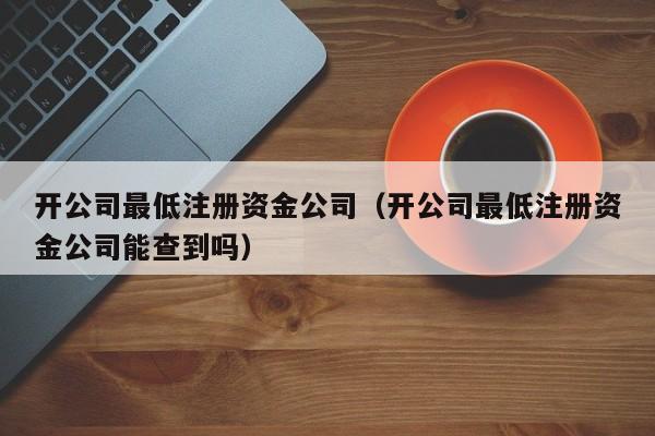开公司最低注册资金公司（开公司最低注册资金公司能查到吗）
