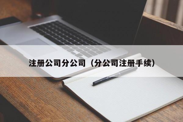 注册公司分公司（分公司注册手续）